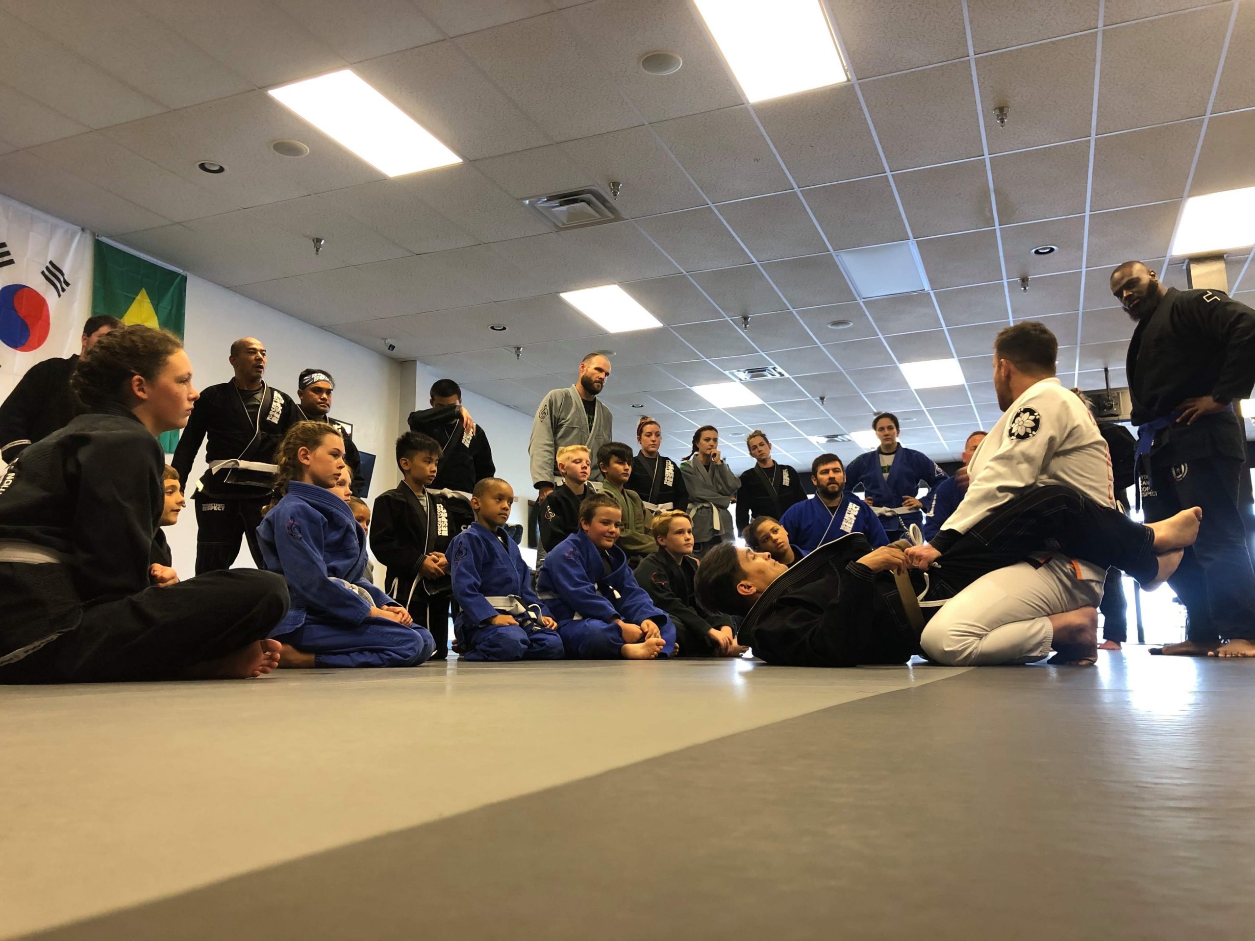 lessons bjj classes