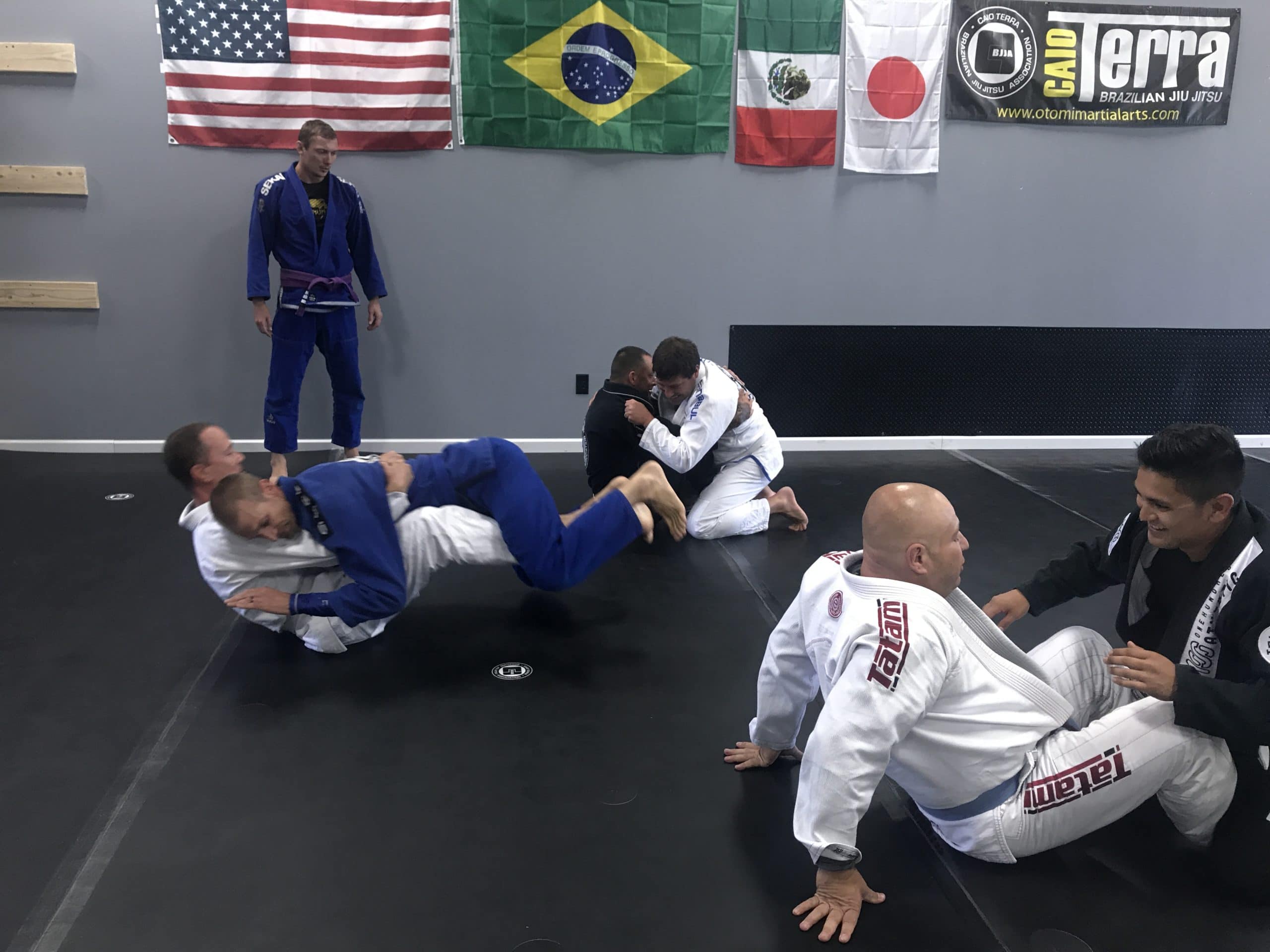 bjj adult testing at the Otomi academy